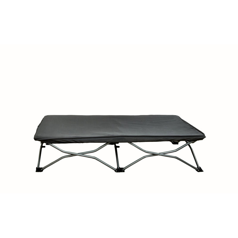 Regalo My Portable Cot & Reviews Wayfair.ca